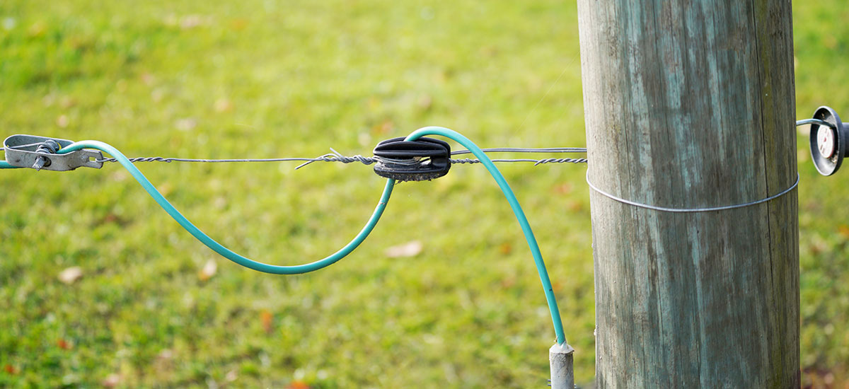 image showing a detail of an electric fence instalation