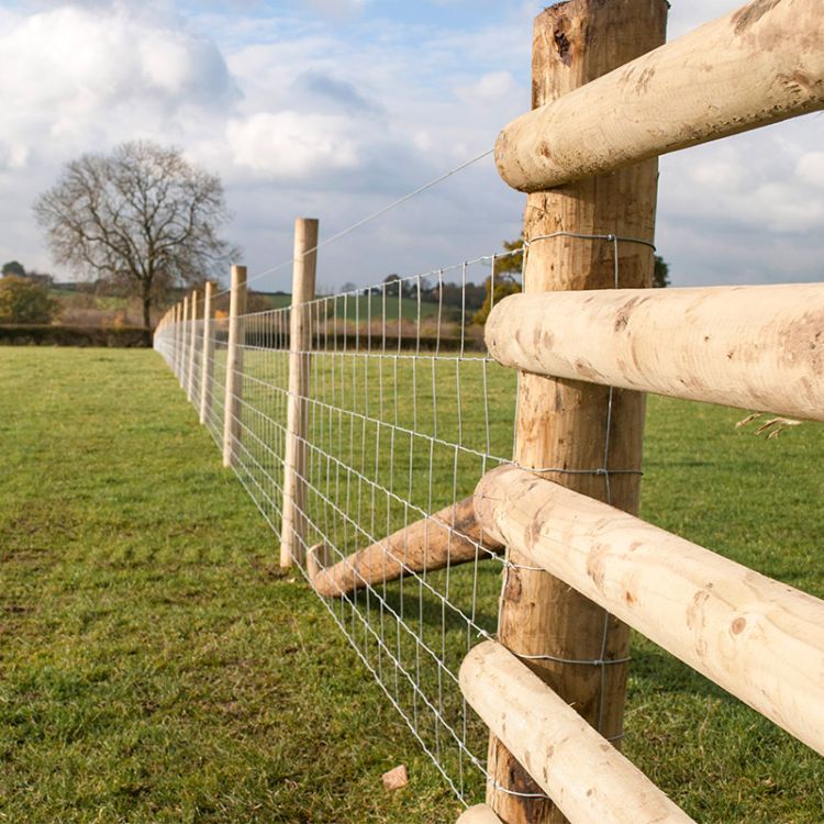 Image of beautifully crafted livestock fencing solution