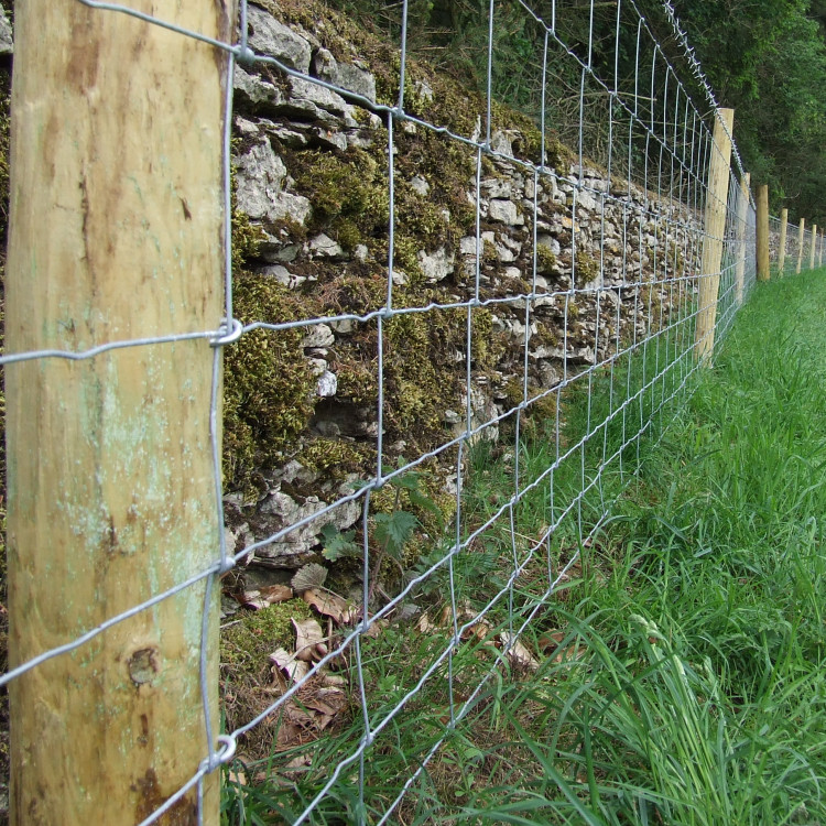 Image of post and rail fencing put up by Farm and Country Fencing