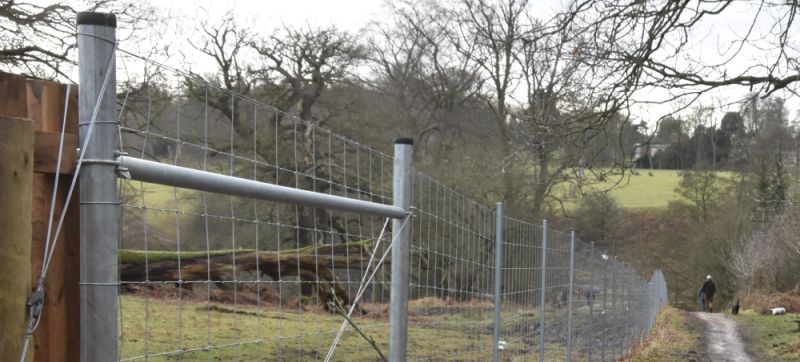 Livestock fencing delineates boundaries and ensures the well-being of the animals housed within