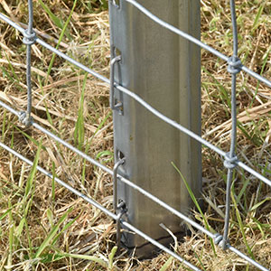 New delta post system, provided by Farm and Country Fencing. 