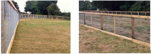 Horse Safe Fencing - Update Photo 2