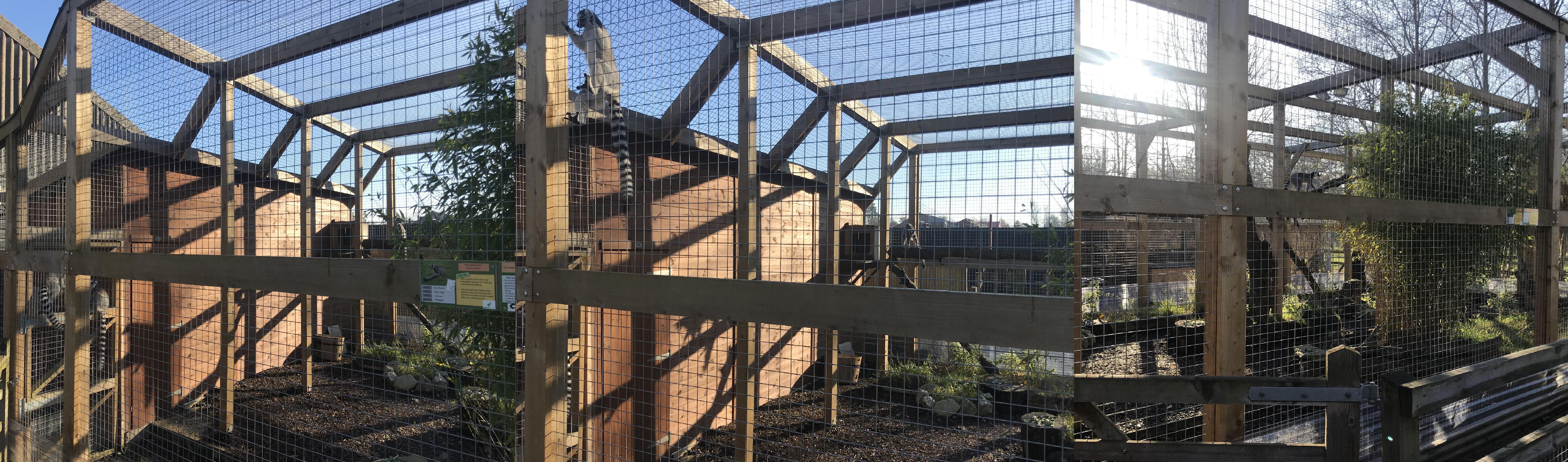 Lemur enclosure fencing - photo 4