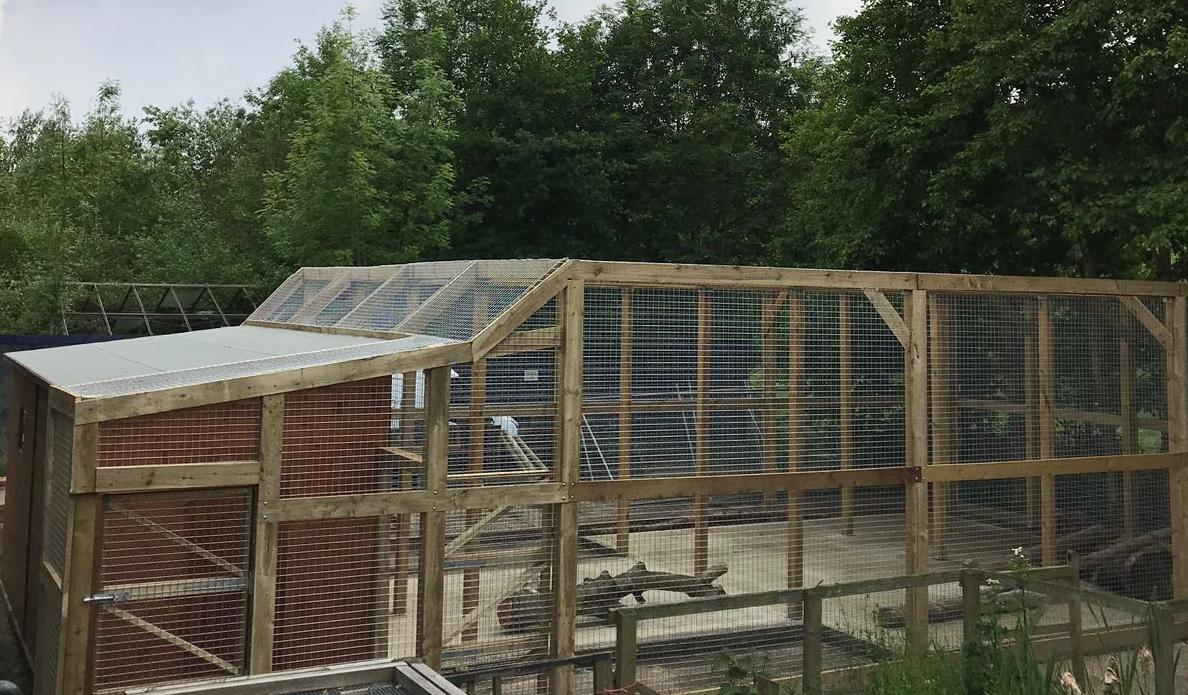 Lemur enclosure fencing - photo 1