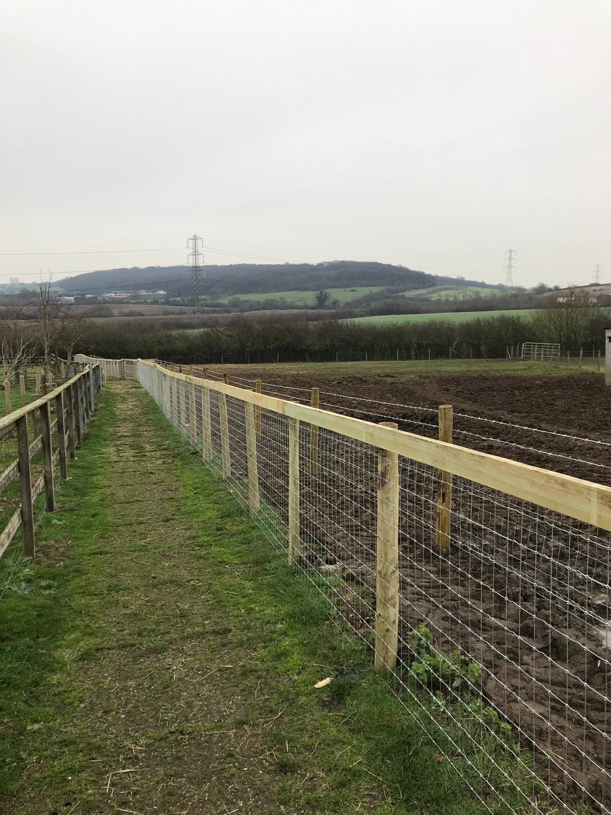 Double Stand Off Fence - photo 2