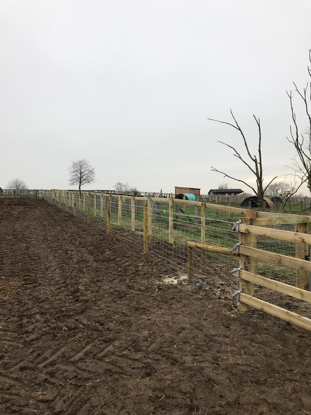 Double Stand Off Fence - photo 4