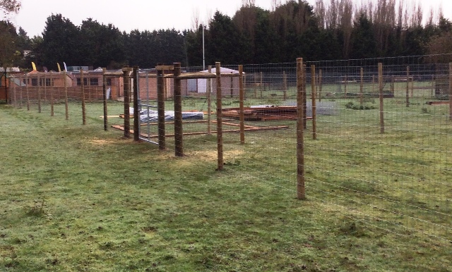 Reindeer Enclosure Fencing Photo 4