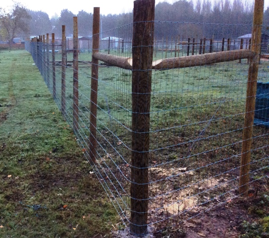 Reindeer Enclosure Fencing Photo 5