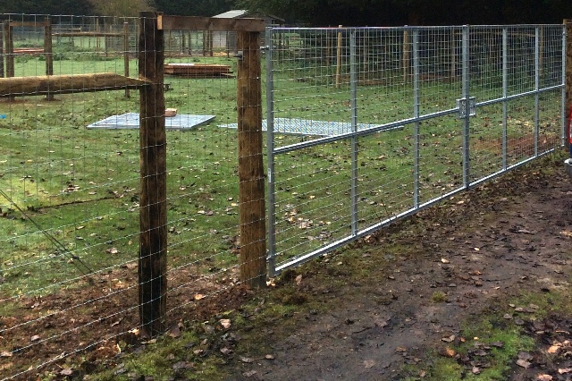 Reindeer Enclosure Fencing Photo 6