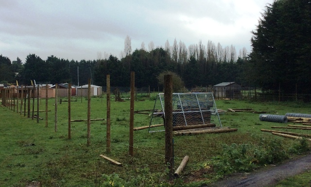 Reindeer Enclosure Fencing Photo 3