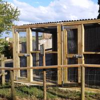 Aviaries - Hayes Hill Farm