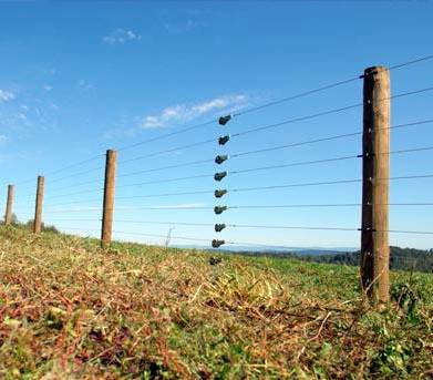 Electric Fence 5