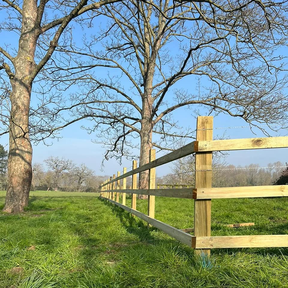 Post & Rail with Barbed Wire