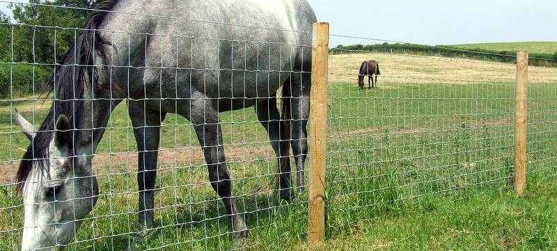 High quality equestrian stock wire paddock fencing put in place by Farm &amp; Country Fencing