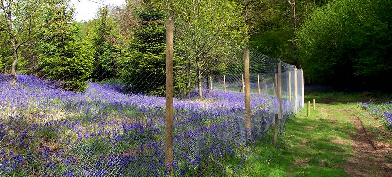 Image of Galvanised and Electric Wire Netting available from Farm and Country Fencing