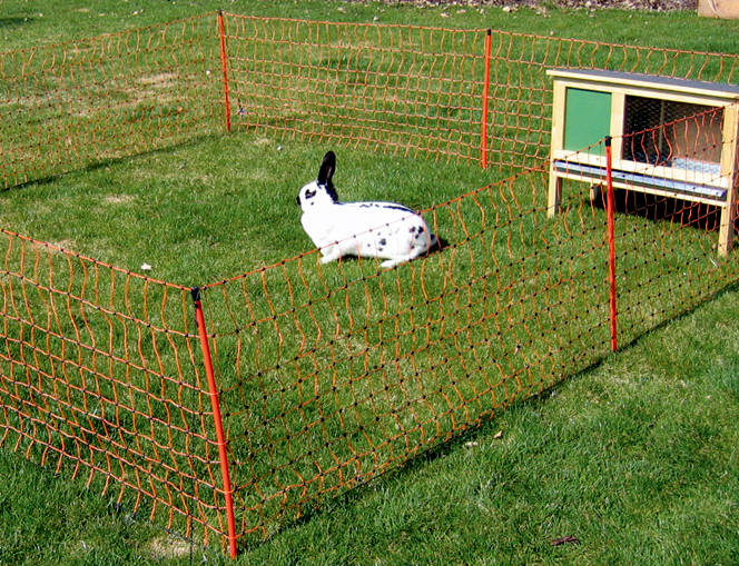 rabbit net