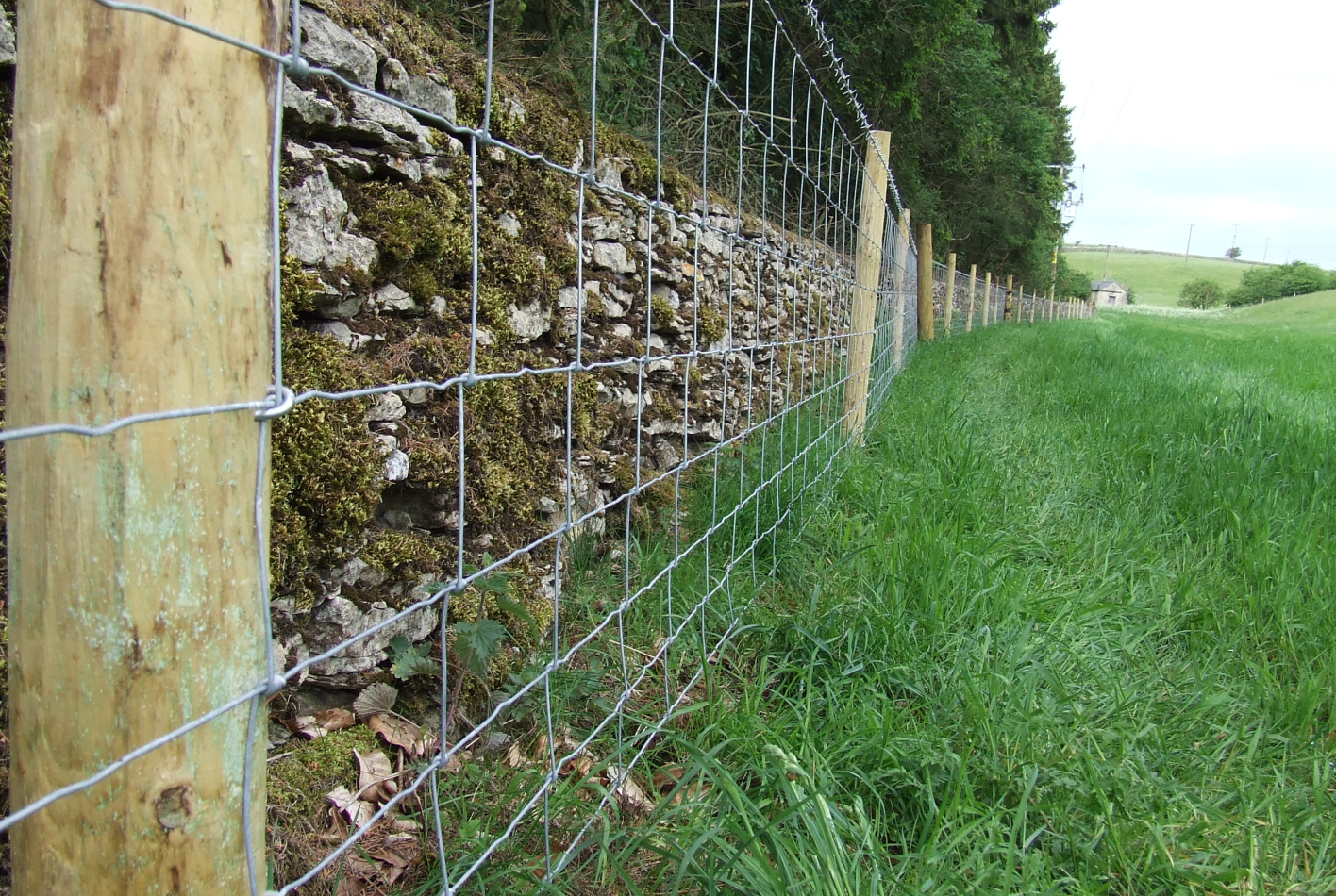 Agricultural Fencing