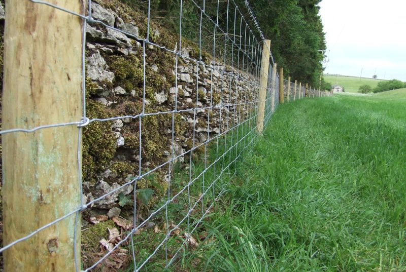 Agricultural Fencing