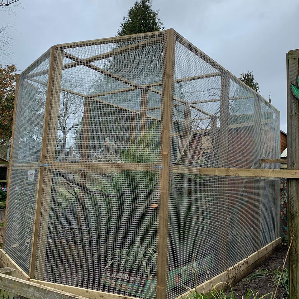 Animal / Zoo Enclosures - Farm and Country Fencing