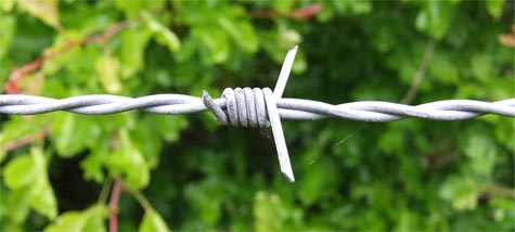 Barbed Wire