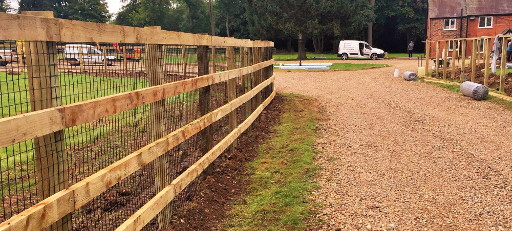 Dog Fence