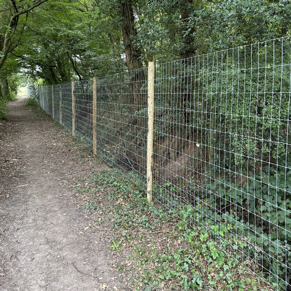 Dog fencing example