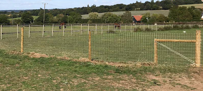 Electric fencing installed for horses in Abridge