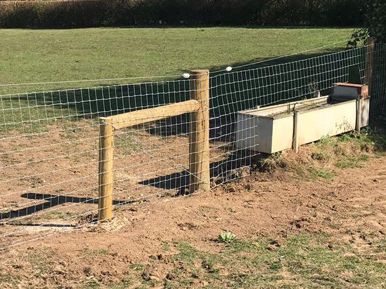 Electric fencing strand fitted to horse-safe wire