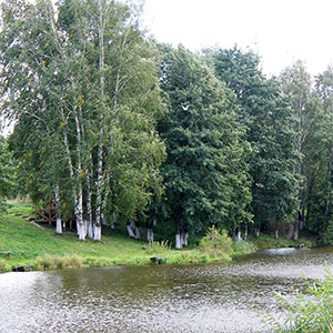 A stretch of river bank of special scientific interest. 