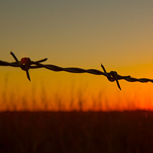 High quality galvanized barbed wire, provided by Farm & Country Fencing. 