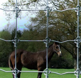 Durable equestrian fencing, designed for the safety and well-being of horses, put in place by Farm & Fencing.