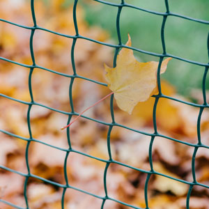 Beautiful stylish wire fencing expertly installed by Farm & Country Fencing, marking the boundary between garden properties.