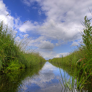 Water filled ditch ready for clearing, a service that Farm & Country Fencing can provide. 