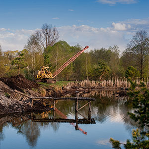 Wetland Creation