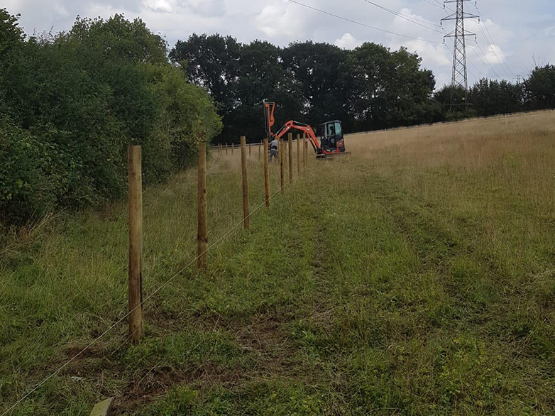 Alpaca Fencing - Pedigree Herd Expansion - 1