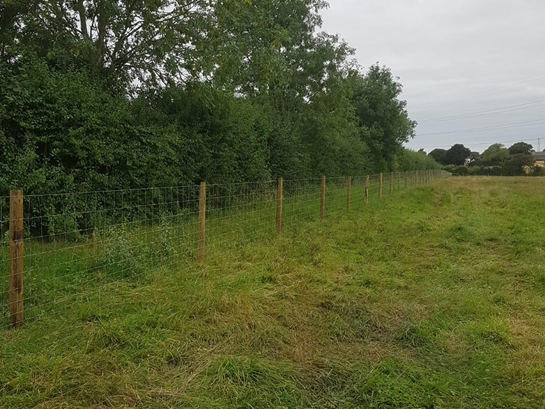 Alpaca Fencing - Pedigree Herd Expansion - 3