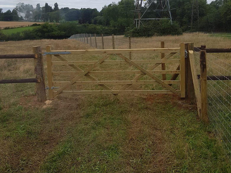 Alpaca Fencing - Pedigree Herd Expansion - 4