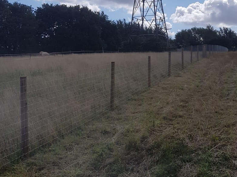 Alpaca Fencing - Pedigree Herd Expansion - 5