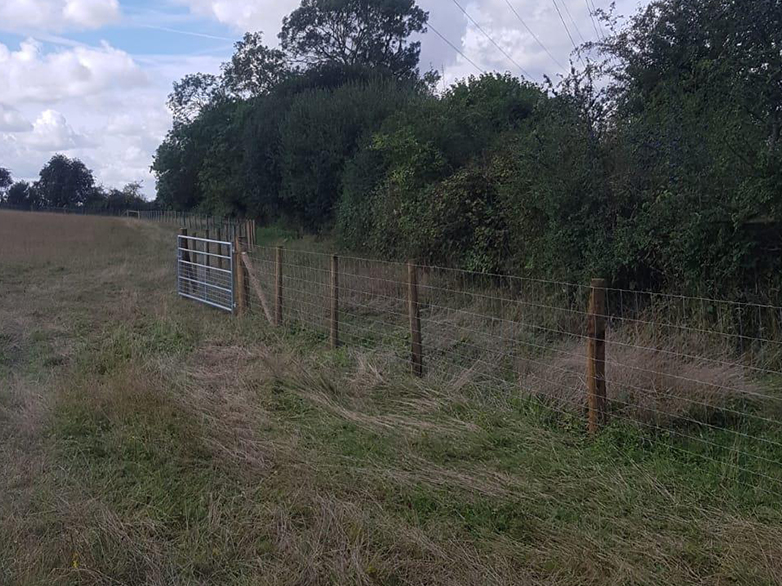 Alpaca Fencing - Pedigree Herd Expansion - 6
