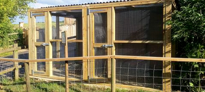 Bespoke aviaries at Hayes Hill Farm for birds of prey