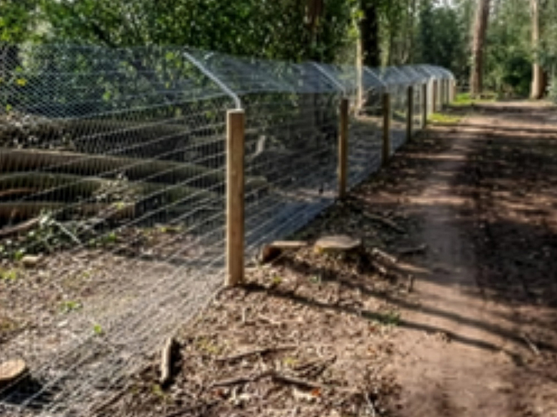 Beaver Fencing - London Rewilding Project - 1