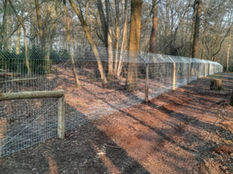 Beaver Fencing - London Rewilding Project - 3