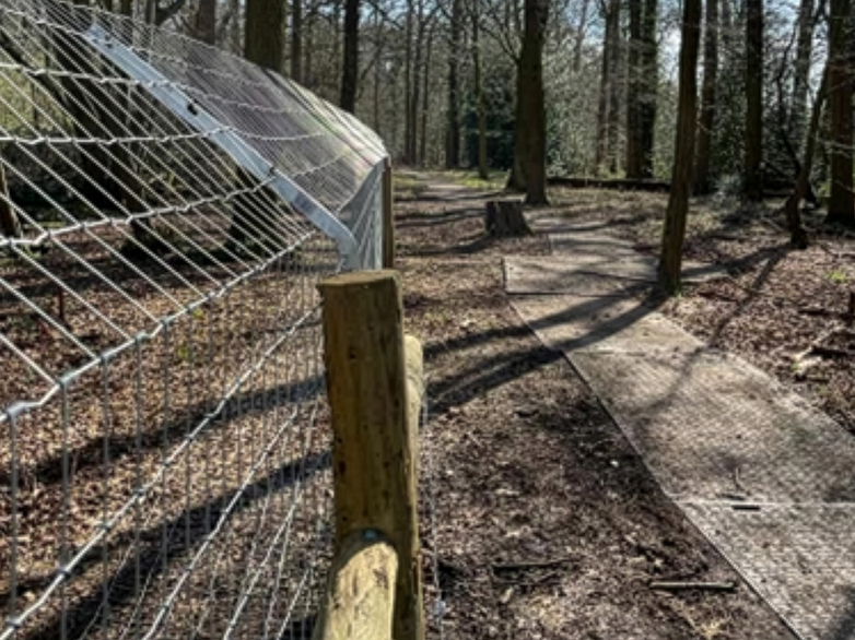 Beaver Fencing - London Rewilding Project - 4