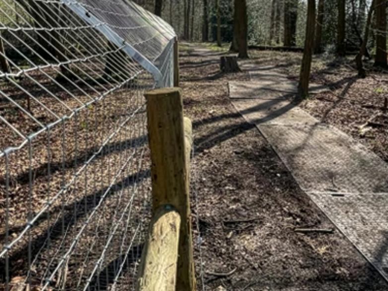 Beaver Enclosure with Ground Skirt Fencing