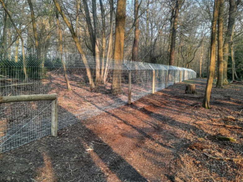 Beaver Enclosure with Ground Skirt Fencing