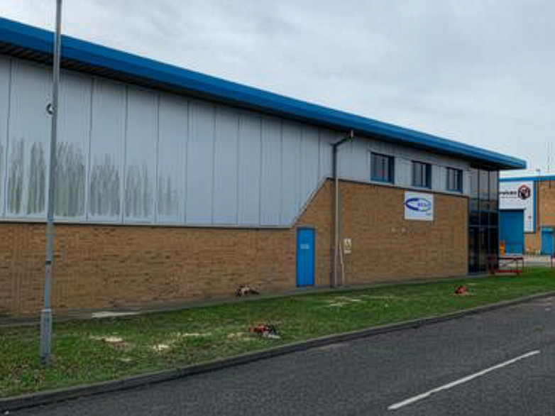 Industrial Estate Oak Tree Removal Project - 3