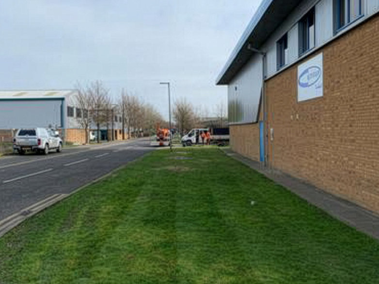 Industrial Estate Oak Tree Removal Project - 5