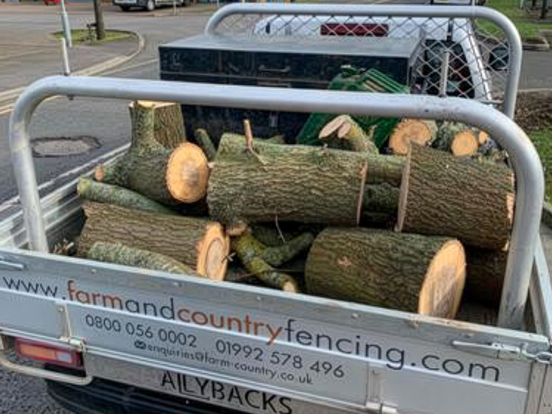 Industrial Estate Oak Tree Removal Project - 6