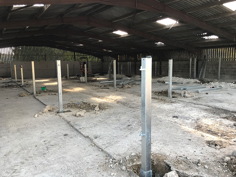 Cattle Handling System Project - 1