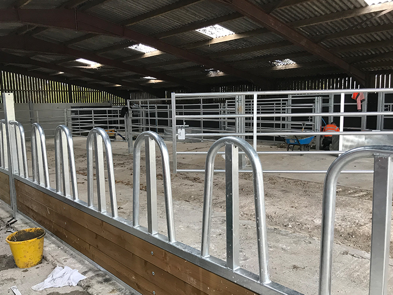 Cattle Handling System Project - 5